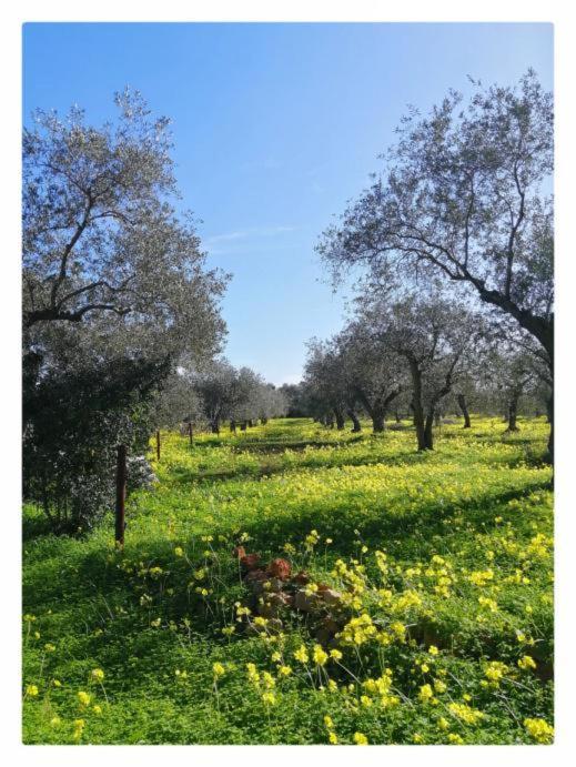 La Rucchetta