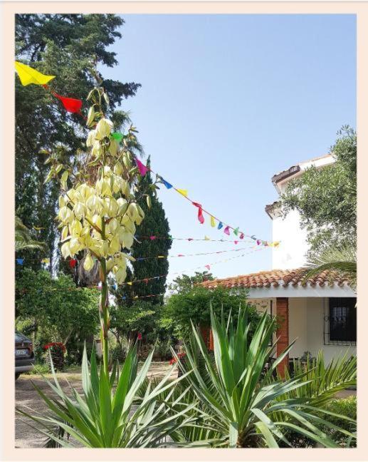 Villa La Rucchetta Alghero