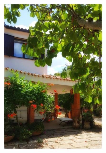 Villa La Rucchetta *